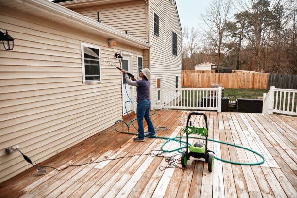 Best Roof Pressure Washing  in Chipley, FL