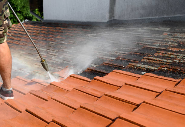 Best Exterior Home Cleaning  in Chipley, FL
