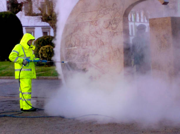 Best Roof Pressure Washing  in Chipley, FL